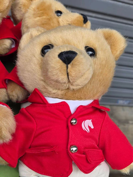 Lions Partners Pack Joy For Young Carers